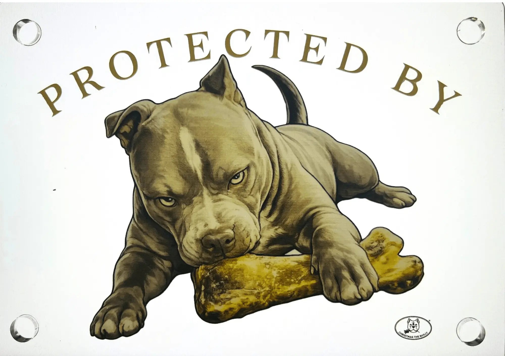 Targa Decorativa – Bully Territory - Christmas The Bully