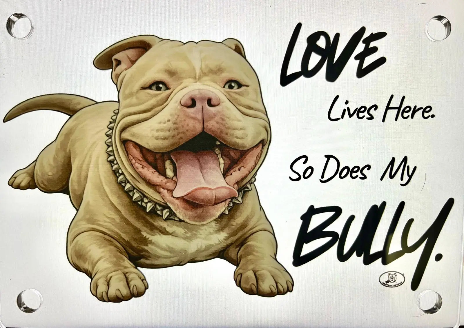 TARGA D'INGRESSO IN PLEXIGLASS PER CANCELLI E MURI – TERRITORIO BULLY - Christmas The Bully