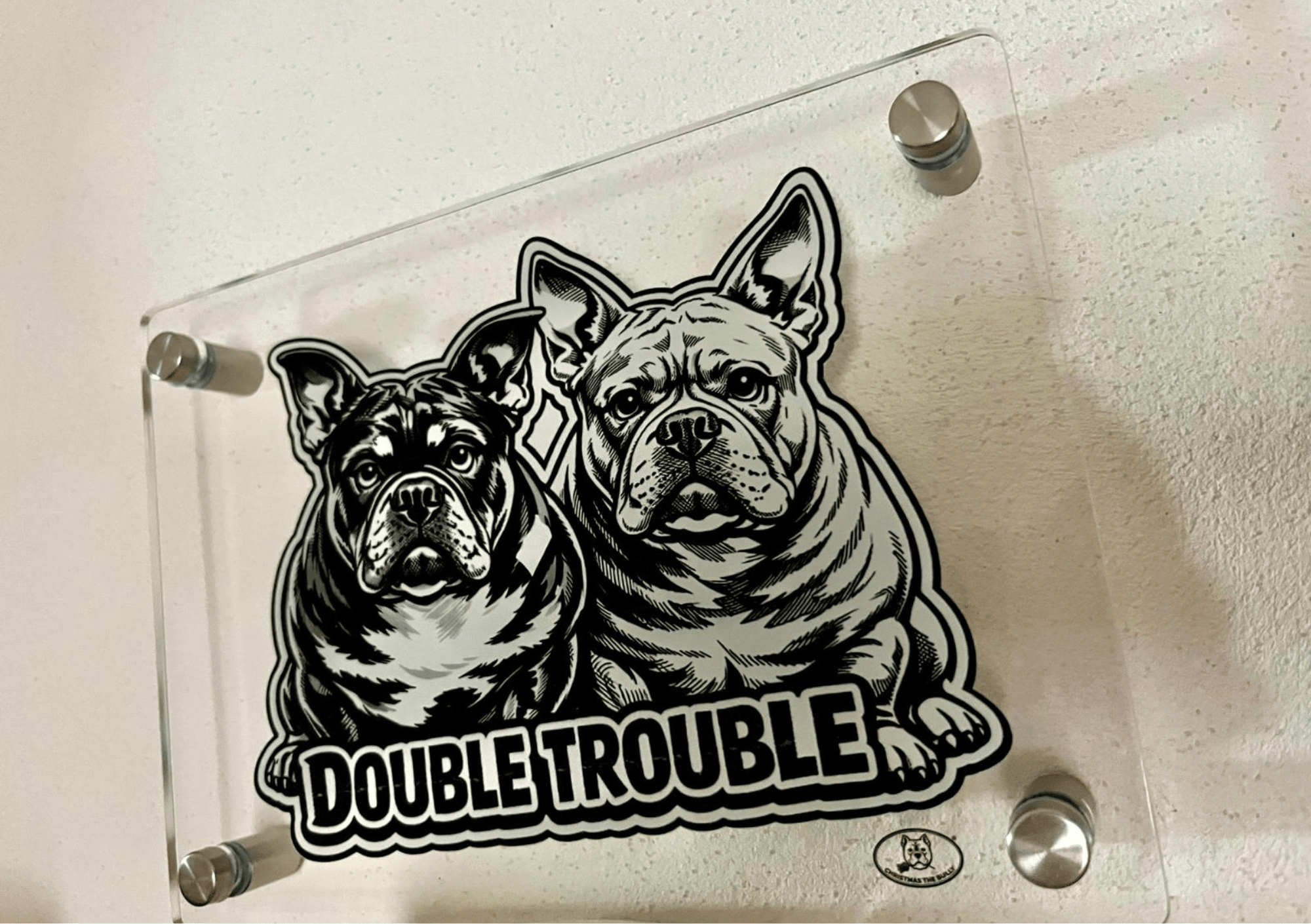 TARGA D'INGRESSO IN PLEXIGLASS PER CANCELLI E MURI – TERRITORIO BULLY - Christmas The Bully