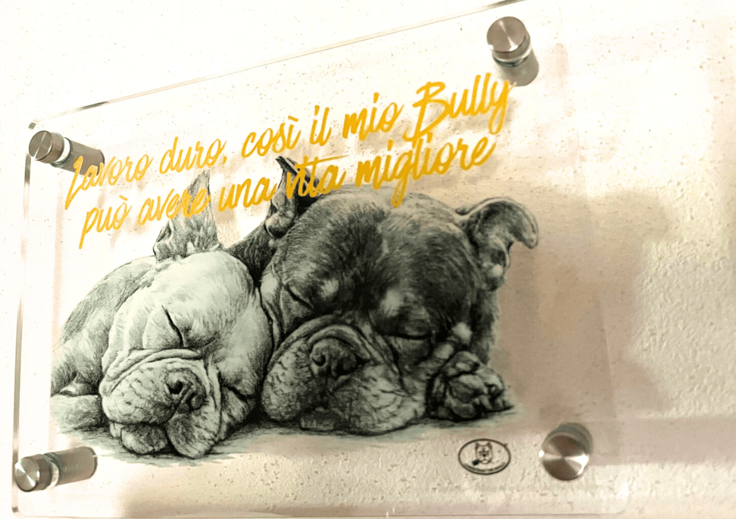 TARGA D'INGRESSO IN PLEXIGLASS PER CANCELLI E MURI – TERRITORIO BULLY - Christmas The Bully