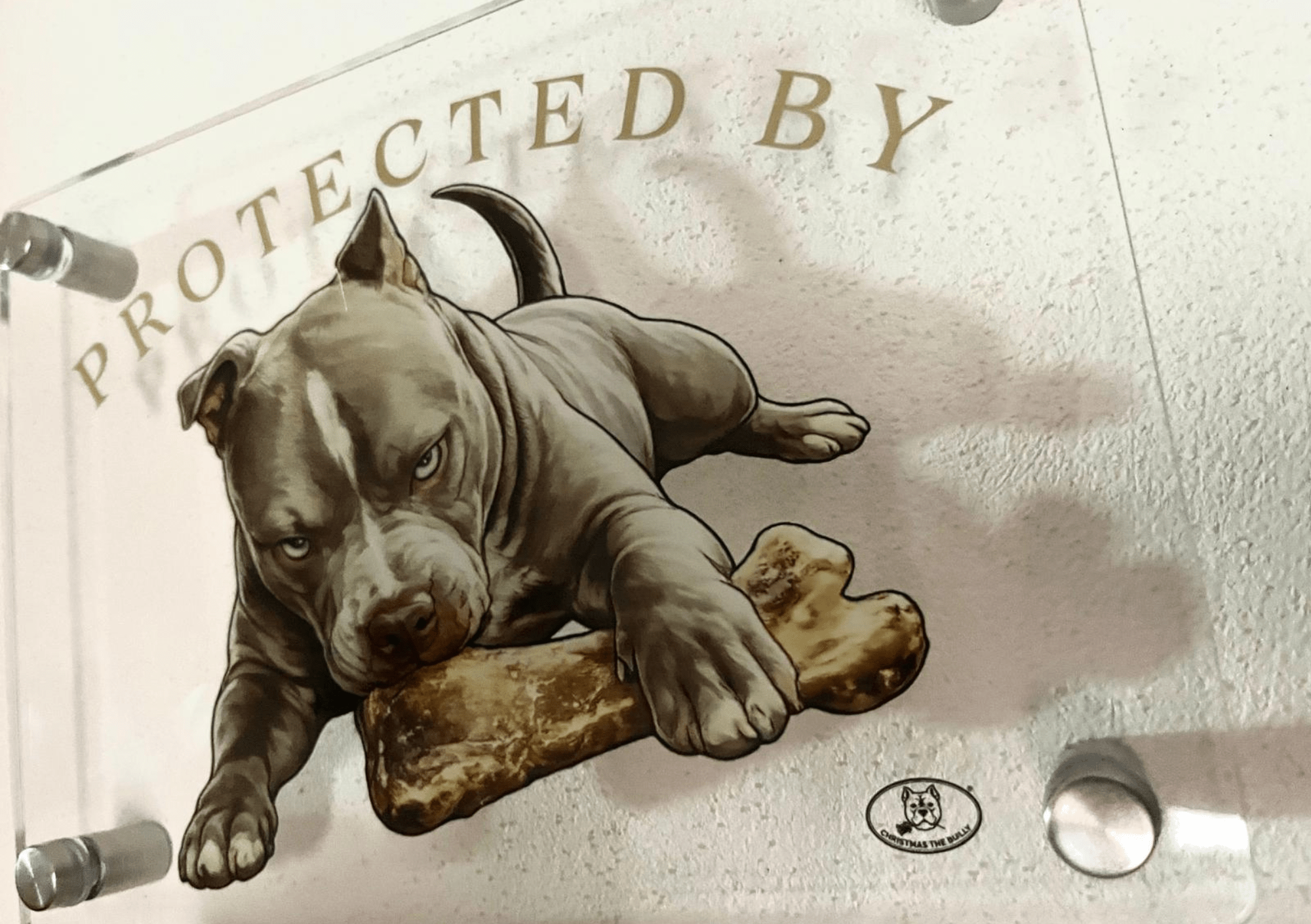 TARGA D'INGRESSO IN PLEXIGLASS PER CANCELLI E MURI – TERRITORIO BULLY - Christmas The Bully