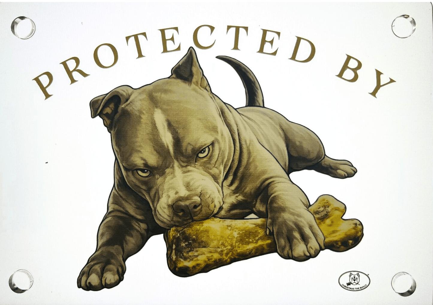 Targa Decorativa – Bully Territory - Christmas The Bully