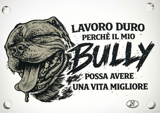 Targa Decorativa – Bully Territory - Christmas The Bully