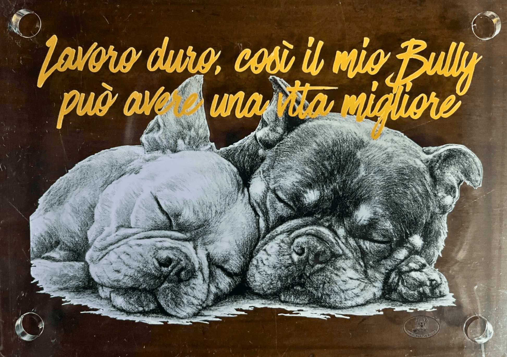 Targa decorativa - Bully Territory - Christmas The Bully