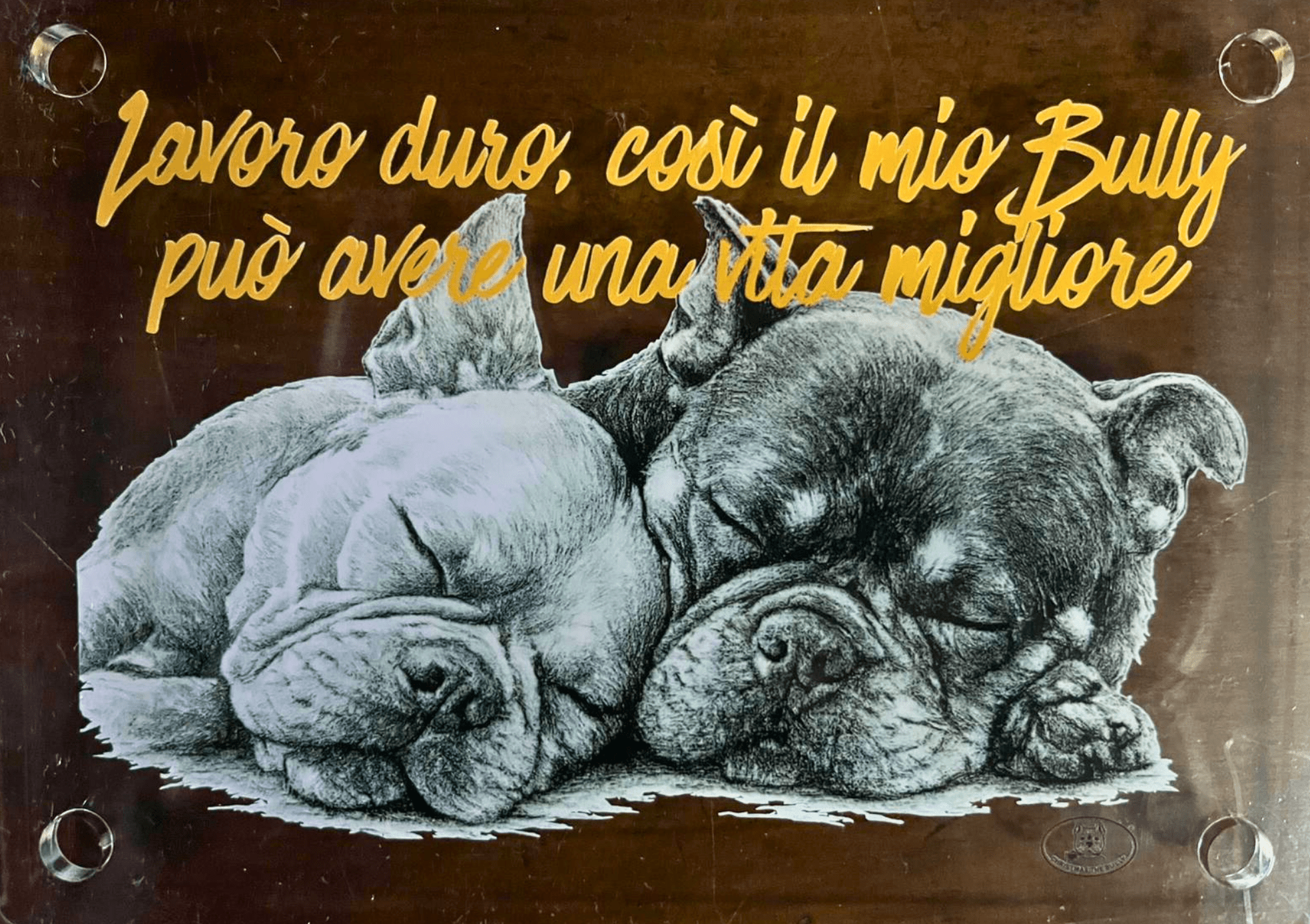 Targa decorativa - Bully Territory - Christmas The Bully