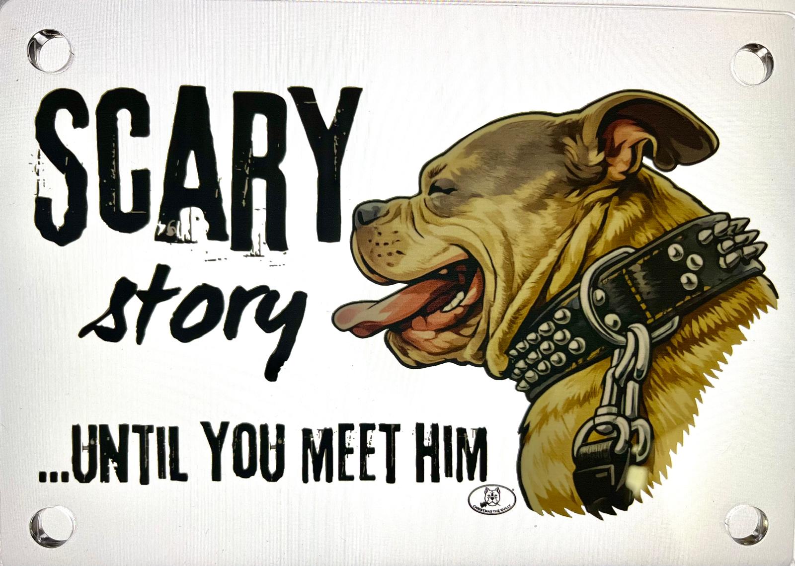 TARGA D'INGRESSO IN PLEXIGLASS PER CANCELLI E MURI – TERRITORIO BULLY - Christmas The Bully