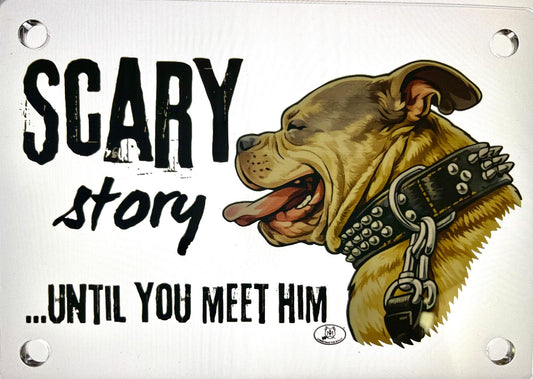 TARGA D'INGRESSO IN PLEXIGLASS PER CANCELLI E MURI – TERRITORIO BULLY - Christmas The Bully