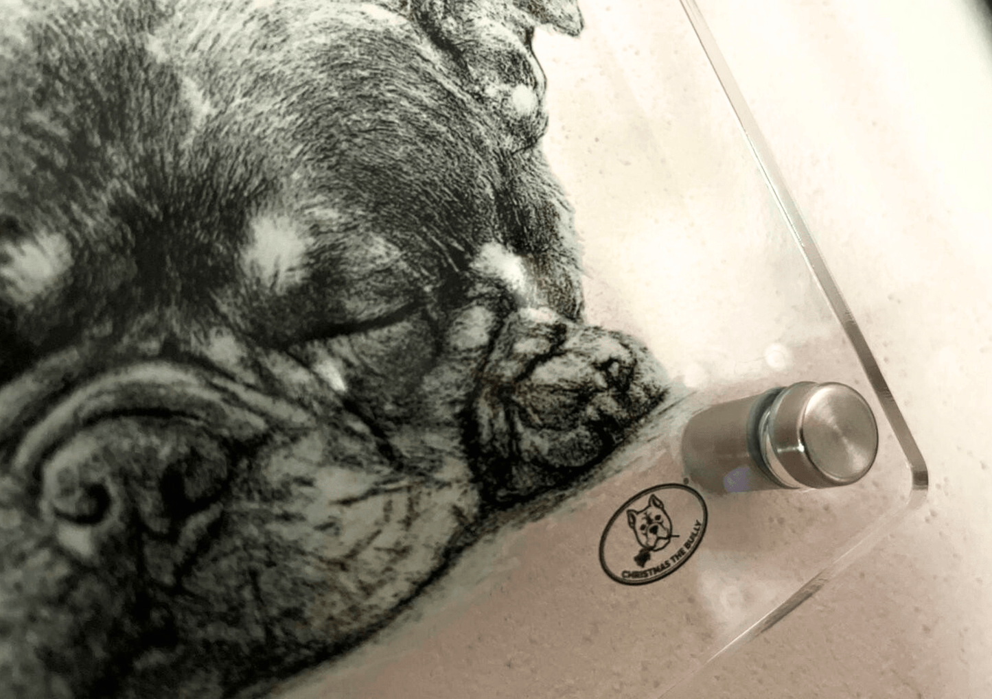 TARGA D'INGRESSO IN PLEXIGLASS PER CANCELLI E MURI – TERRITORIO BULLY - Christmas The Bully