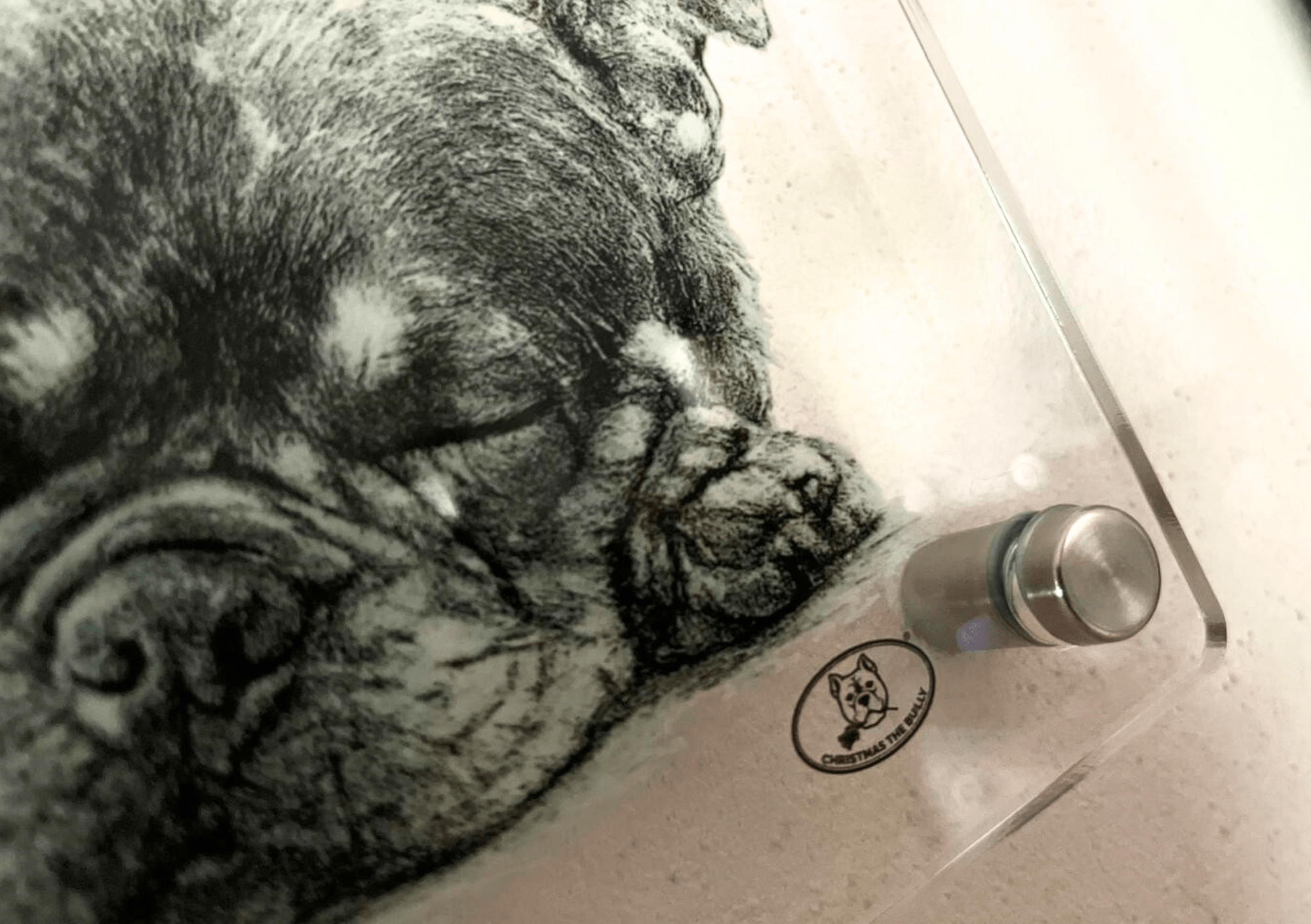 TARGA D'INGRESSO IN PLEXIGLASS PER CANCELLI E MURI – TERRITORIO BULLY - Christmas The Bully