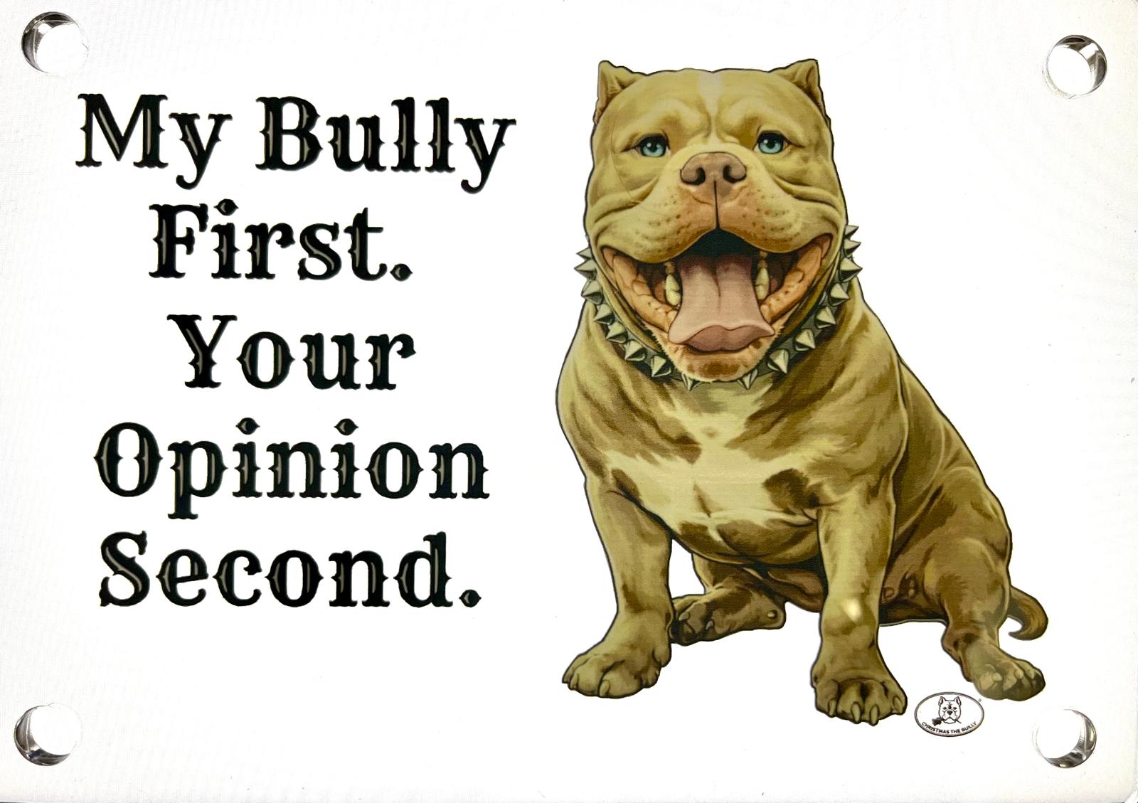 TARGA D'INGRESSO IN PLEXIGLASS PER CANCELLI E MURI – TERRITORIO BULLY - Christmas The Bully