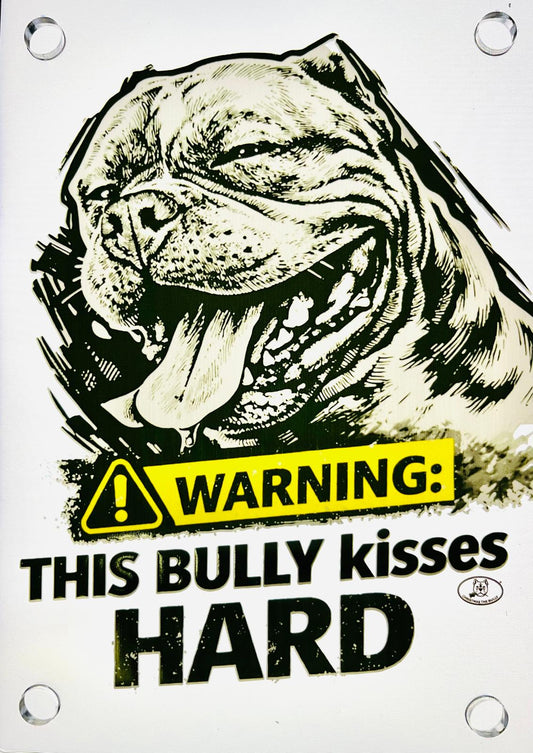 TARGA D'INGRESSO IN PLEXIGLASS PER CANCELLI E MURI – TERRITORIO BULLY - Christmas The Bully